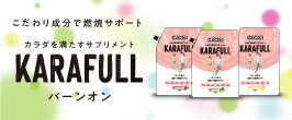 バーンオン グレープフルーツ風味 クエン酸 L-カルニチン α-リポ酸 コエンザイムQ1...