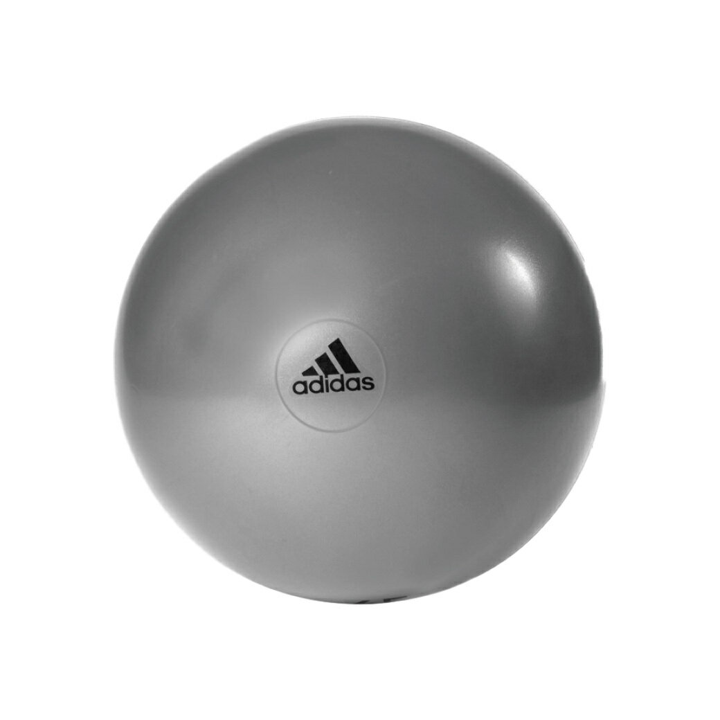 adidas アディダス ジムボール グレー 55cm トレーニングギア ADBL11246GR ダイエット 宅トレ バランス..