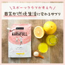 バーンオン グレープフルーツ風味 クエン酸 L-カルニチン α-リポ酸 コエンザイムQ10 クエン酸 ブラックジンジャー抽出物 乳酸菌 サプリメント