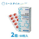 【送料無料】 サンテルタックス20+DHA 60粒 2箱 （約2か月分）