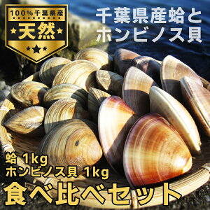 【送料無料】天然本蛤 ホンビノス貝 貝の食べ比べセット 千葉県特産 貝食べ比べ 【東安房漁業協同組合】