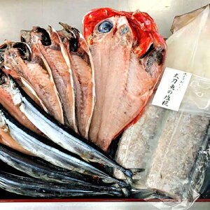 【送料無料】 地魚 厳選 ひものセット 太刀魚 塩麹 金目鯛 鯵 開き スルメイカ 一夜干し 詰め合わせ 【利左エ門】