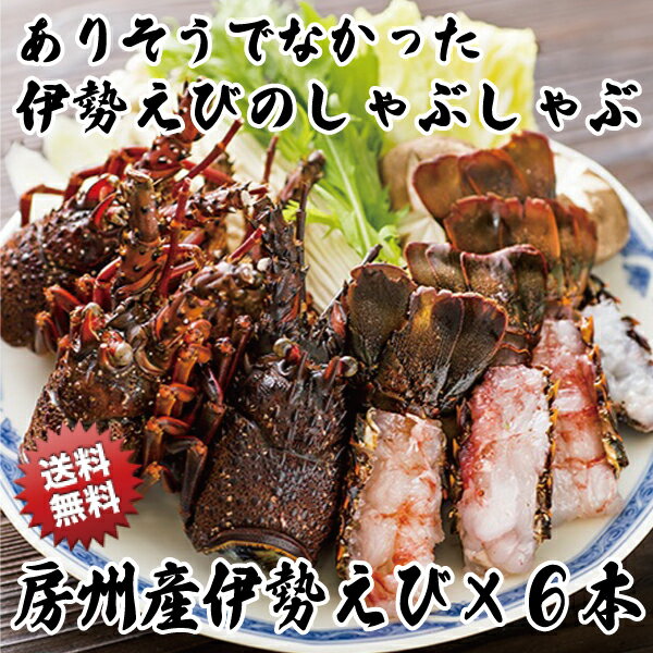 【送料無料】 房州産 天然 伊勢海老 しゃぶしゃぶ セット ギフト 贈り物 おすすめ 【与助丸】