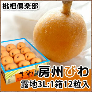 【送料無料】 皇室献上 房州びわ 3Lサイズ 露地栽培 千葉県産 【枇杷倶楽部】