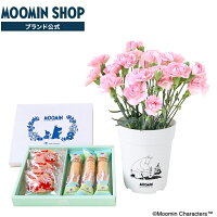 【公式店限定販売】フラワーアレンジオリジナルプラ鉢入(4号)ピンクとお菓子セット