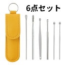 【レビュー特典付き】耳かき 6本セット 耳掃除ツール ステンレス製 螺旋式&バネ式耳かき 清潔ブラシ ...