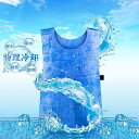 冷却ベスト クールベスト (電気保冷剤要らず 10時間保冷継続) 物理冷却 熱中症対策 夏フェス ひんやり作業着 夏冷感作業服 運動会観戦 屋外/農作業/スポーツ/運動会/登山/お釣り/工事現場 軽量 涼しい 冷たい 柔らかい 男女兼用(3)