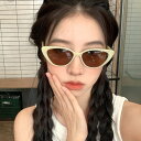 【楽天スーパーSALE10%OFF】キャットアイ サングラス レディース サングラス レディース レトロ キャットアイ サングラス ?女性サングラス UV 保護...