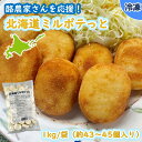 【業務用食材】北海道ミルポテっと　／　1kg袋（1個約20g