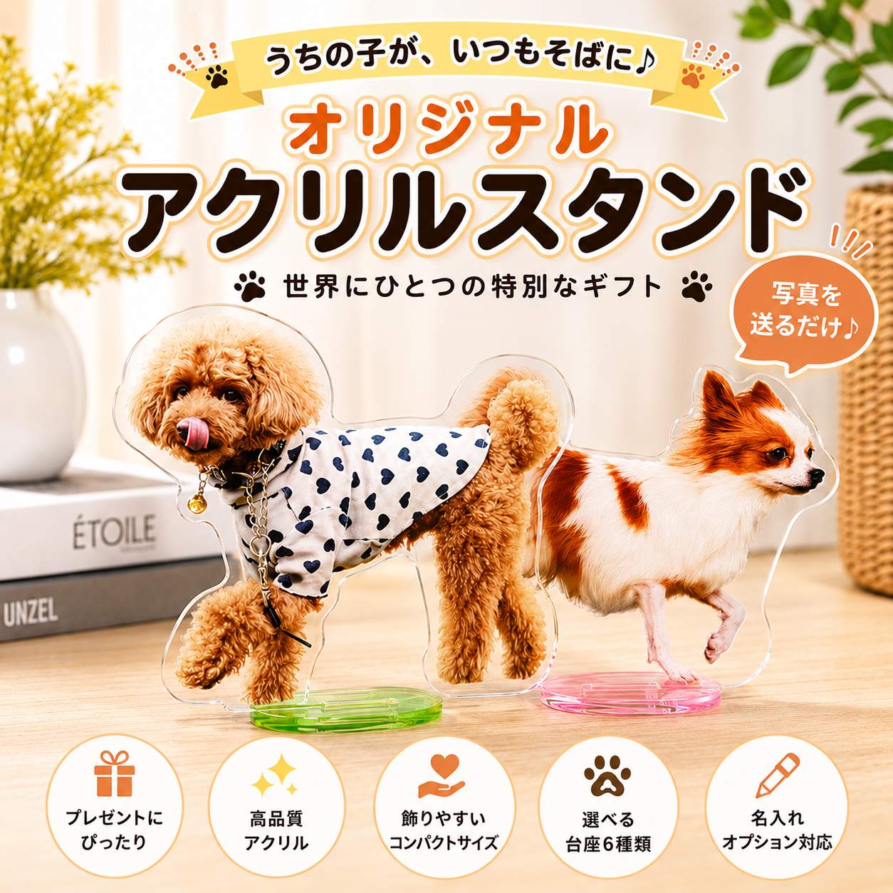 楽天市場】アクリルスタンド（犬用品｜ペット・ペットグッズ）の通販