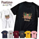 プリント Tシャツ メンズ 半袖 tシャツ レディース ユニセックス ゆったり ロゴT ストリート カジュアル アメカジ サーフ 男女兼用 ハワイ アロハ サマー 夏 ビーチ 海 かわいい かっこいい イラスト グラフィック シンプル おしゃれ ポップ