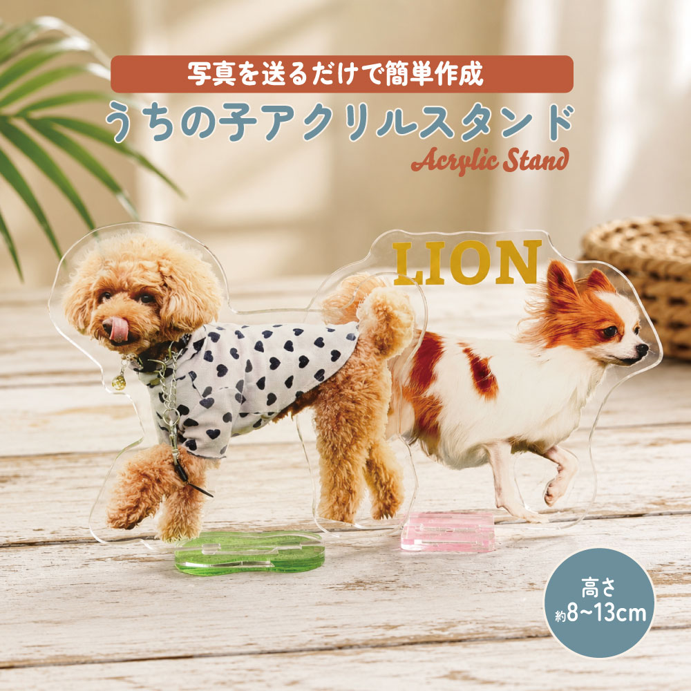 楽天市場】アクリルブックスタンド（犬用品｜ペット・ペットグッズ）の通販