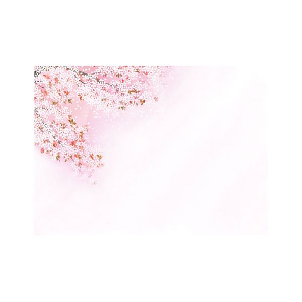 ヤマコー 用美 業務用 尺3四季彩まっと 花雅(はなみやび) 桜 (100枚入) yamaco66451