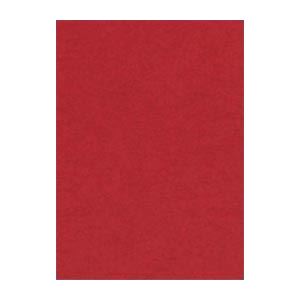 （まとめ） 文運堂 ニューカラーR 四ツ切 横392×縦542mm 4NCR-550 えんじ 100枚入 【×2セット】