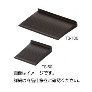 (まとめ)耐震用転倒防止板(たおれストッパー)TS-100 入数:2【×10セット】 (まとめ)耐震用転倒防止板(たおれストッパー)TS-100 入数:2【×10セット】