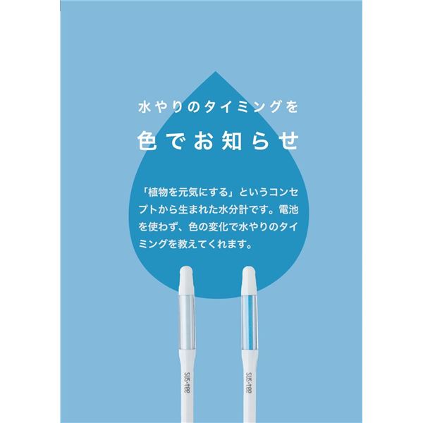 （まとめ）キャビノチェ SUSTEE（サスティー） 水やりチェッカー シングルパック M グリーン【×5セット】 2