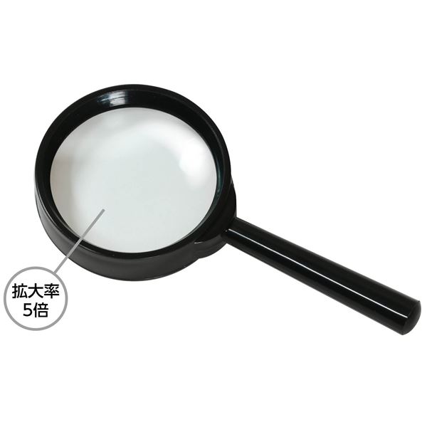 (まとめ)虫めがね S(5倍) 【×10個セット】