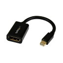 (まとめ) StarTech MiniDisplayPort-DisplayPort変換ケーブルアダプタ 15cm オス/メス MDP2DPMF6IN1本 【×10セット】(2)