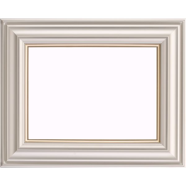 ۱ ե졼 F30 910mm727mm ڥ󥴡 ɳդ  3455N ӥ Ź ե ع 