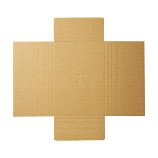 (まとめ) TANOSEE タトウ式段ボール A4用 1パック(50枚) 【×5セット】 (まとめ) TANOSEE タトウ式段ボール A4用 1パック(50枚) 【×5セット】