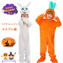 ハロウィン 衣装 うさぎ 着ぐるみ 女の子 おもしろ 仮装 動物 コスチューム 可愛い ニンジン 子供用 キッズ 仮装 コスプレ衣装 オールインワン 男女兼用 パーティー 誕生日 発表会 イベント クリスマス 学園祭 小学生 cosplay 写真撮影 S M L XL