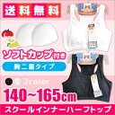 【お買い物マラソン 全品送料無料】スクールインナーハーフトッ...