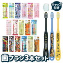 お買い物マラソン【2点以上でメール便送料無料】スケーター 歯...