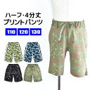 _݌Ɍ聚^yzBlueMart n[tpc 4pc Y{ pc Y{ Zp LbY j̎q 110cm 120cm 130cm q {gX 100 V[gpc t  ǂ ۈ牀 ct  [EGA EGXgS vg  j