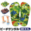 _݌Ɍ聚^yzskater r[`T_ LN^[  DINOSAURS o[K[RNX T_ St ƃS t ₷  LbY T_ q j̎q T_ ̎q r[T C v[ ɂȂ  15cm 16cm 17cm 18cm 19cm