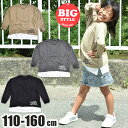 _݌Ɍ聚^yzSHISKY VXL[  TVc T Vc mg[ S vg n   zCg ubN O[ `R[ 110cm 120cm 130cm 140cm LbY WjA j̎q ̎q d˒ C[h  Jbg\[  ۈ牀 ct t