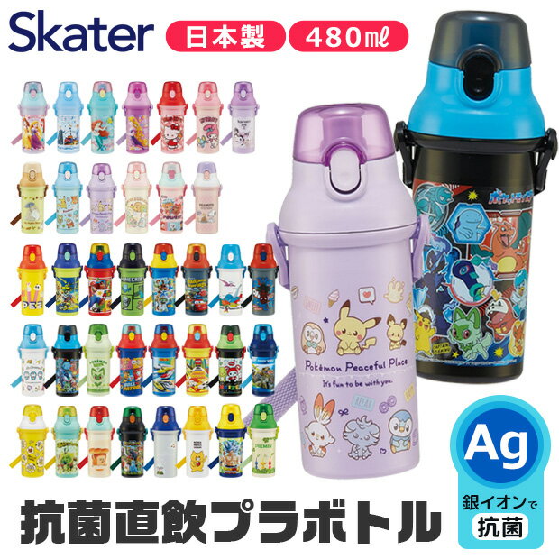 2024年度新柄★【送料無料】 SKATER ス