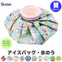 ＼15％OFF★／ スケーター skater アイスバッグ Mサイズ 氷嚢 スポーツ 氷のう 首 氷のう バスケ ひょうのう スポーツ 野球 暑さ 対策 発熱 キャラクター アイス バッグ アイシング 子供 キッズ 熱中症対策グッズ おしゃれ ひんやり 冷却 氷 頭 首 冷やす グッズ 応急処置