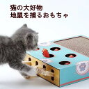 猫用おもちゃ おもちゃ 猫用 猫 ダンボール 猫グッズ ネズミ 多機能 つめとぎ 爪とぎ 猫用品 ペット ペット用品 ペットグッズ 耐久性 知育玩具 一人遊び?かわいい