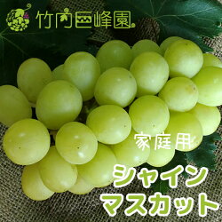 【送料無料】愛媛県内子町産ぶどう竹内巨峰園の朝採りシャインマスカット2kg(家庭用)