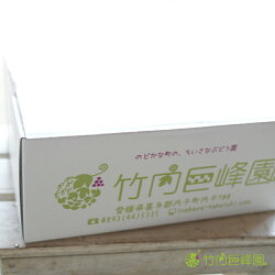 【送料無料】愛媛県内子町産ぶどう竹内巨峰園の朝採り訳あり巨峰1kg(加工用)