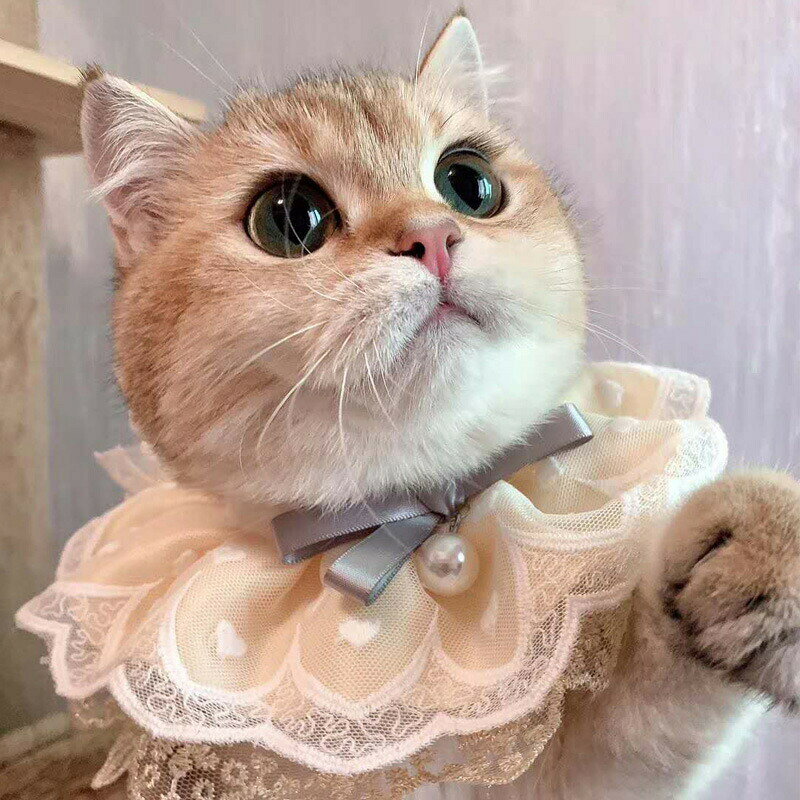ペットの服 首輪 リボン マフラー パール 猫 ネコ 犬 コスチューム 猫服 可愛い 通気性 柔らかい コスプレ衣装 面白い XS 写真 撮影道