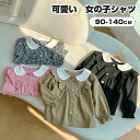 送料無料 ベビー ブラウス 襟付きシャツ 子供服 ベビー服 トップス 女の子 長袖 Tシャツ ガールズ 綿 丸首 襟付き 丸襟 子供服 シンプル 無地 かわいい おしゃれ 入園式 七五三 初節句 お宮参り 90/100/110/120/130cm