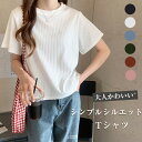 カットソー レディース 夏 tシャツ 半袖 カジュアル おしゃれ 無地 ストレッチ カラフル 普段着 クルーネック カジュアル オフィス シンプル きれいめ カ...