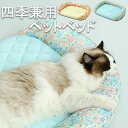 ペットベッド 夏用 猫用 小型犬 イエロー ブルー 中型犬 通気 四季兼用 可愛い 通気 猫用ベッド ペット用ベッド ネコ用ベッド 犬用ベッド ペット 寝具 ペ...