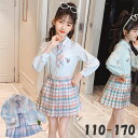 入学式 女の子 かわいい 長袖 スカート リボン付き 120-170 カーディガン 2点セット 3点セット セット 学生制服 キッズ服 フォーマル セーラー 送...