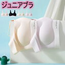 【3枚購入でよりお得】ブラジャー ジュニア キッズ スポーツブラ 40-60kg 下着 女子 ピンク ブラック グリーン パープル ジュニアブラ 通気 揺れない スポブラ ダンス 体操 体育 ノンワイヤー 肌着 春 夏 秋 冬 送料無料 白 中学生 小学生 高校生