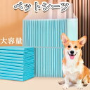 ペットシーツ 1回使い捨て 薄型シーツ 多サイズ 超薄型 ペット 薄型なのにしっかり吸収 100枚薄型 厚型 犬 猫 トイレシート トイレシーツ シーツ 犬 ペットシート レギュラー シーツ 大容量 まとめ買い 業務用 犬猫兼用 選べる5種類 猫用品(4)