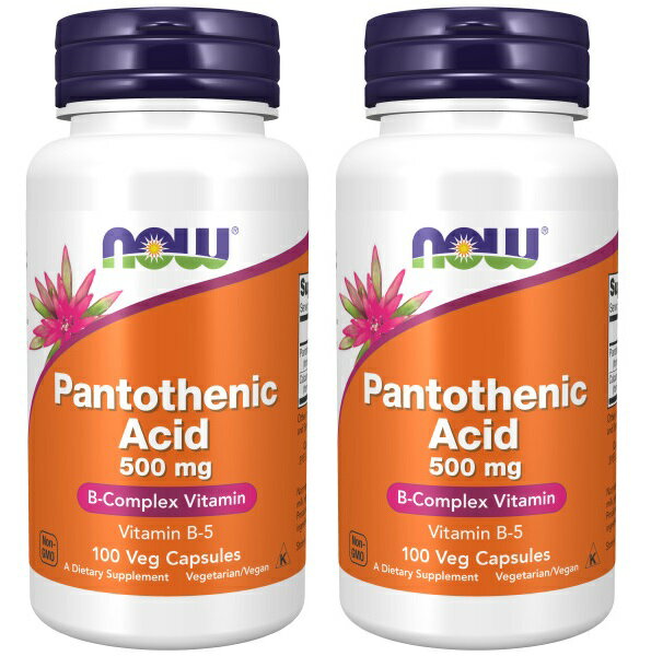 [ 2本セット ]　ナウフーズ パントテン酸 500 mg 100カプセル - NOW Foods Pantothenic Acid 500 mg 100 vegecaps