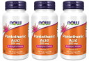 3本セット ナウフーズ パントテン酸 500 mg 100カプセル - NOW Foods Pantothenic Acid 500 mg 100 vegecaps その1