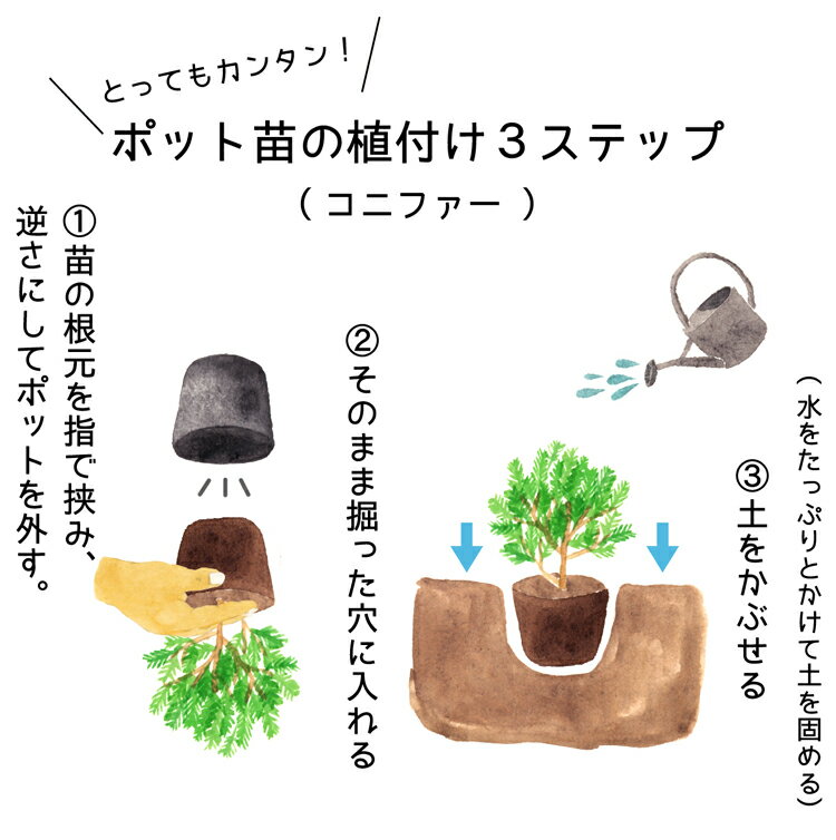 1�� / �֥롼���󥸥��� ����80cm���� �ݥå�ľ��21cm ���˥ե���