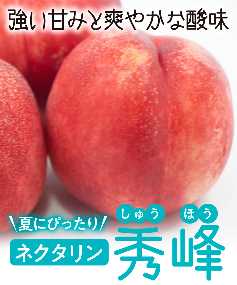 【桃苗木】【2年生苗】秀峰 高さ70cm〜1.0m