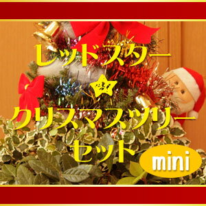 レッドスター★クリスマスツリーセットmini（0.2〜0.3m程度）