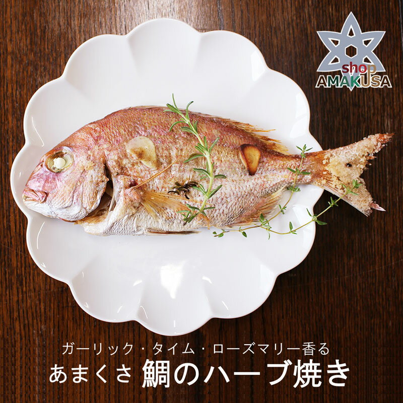 あまくさ鯛のハーブ焼き ギフト 天草産 海鮮 グルメ 高級 贈り物 食べ物 九州熊本 天草 お取り寄せグルメ　タイ 御中元　お中元のサムネイル