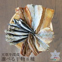 山下水産 干物8種 みりん 塩　お中元御中元 海鮮ぐるめ 干物セット 送料無料 8箱選べる干物詰め合せ いわし あじ タチウオ みりん干し等