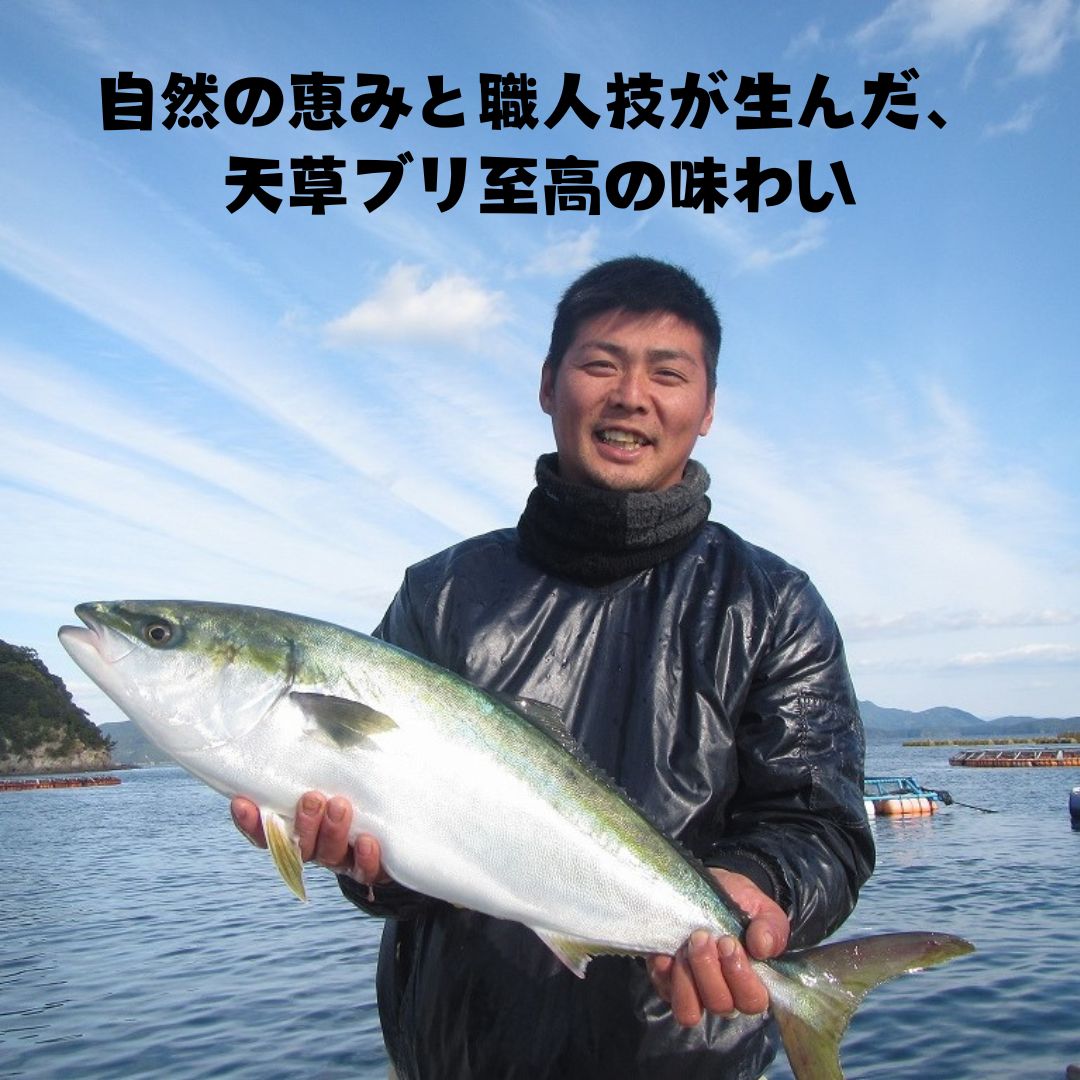 ブリまるごと1本（4kg前後） 鰤しゃぶ 照焼き お刺身 刺身 鮮魚 嫁 ぶり 海鮮 ギフ...